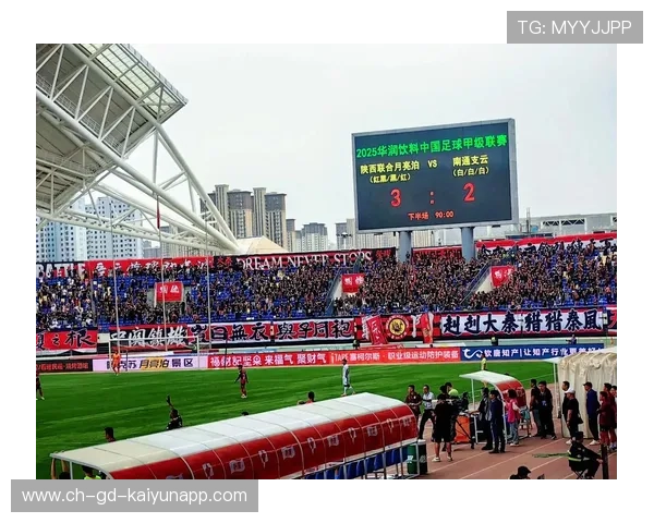 中国足球的球迷文化活动组织方案实施方案，中国足球球迷数量统计